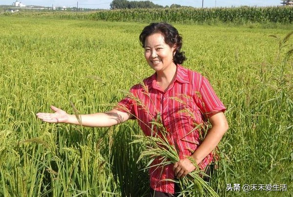 赵本山方青卓完整视频,一村之长赵本山方青卓的视频