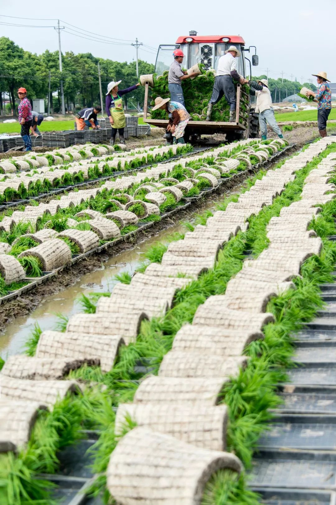 江南边角料,中国十大超级县