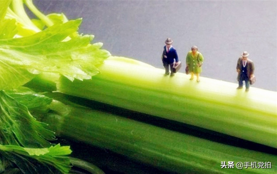 教你宅家拍氛围感大片有手就行,宅家就能轻松拍大片