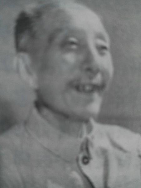 名医治癫痫案解析,吴少怀医案