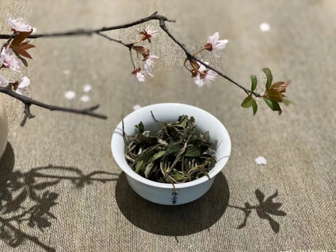 盖碗茶具的优缺点,陶盖碗适合什么茶具使用