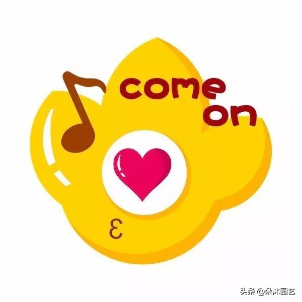 鲜花扎花束教程,手把手教你螺旋花束扎法