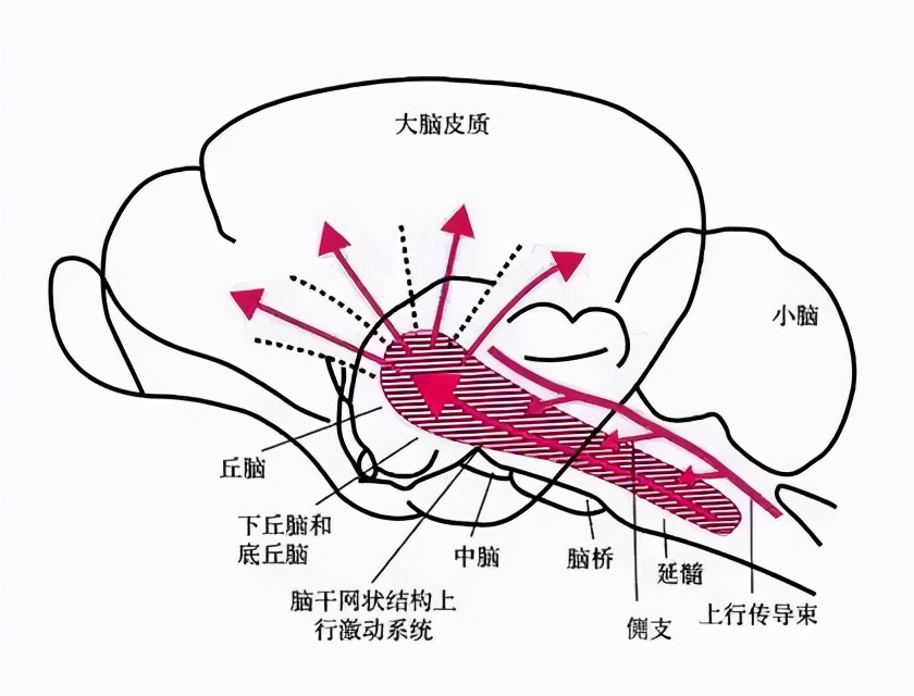 孩子上课状态差怎么办,孩子上课无法集中精力学习怎么办