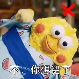 男士穿高帮鞋怎么搭配裤子,白色高帮鞋女款搭配裤子