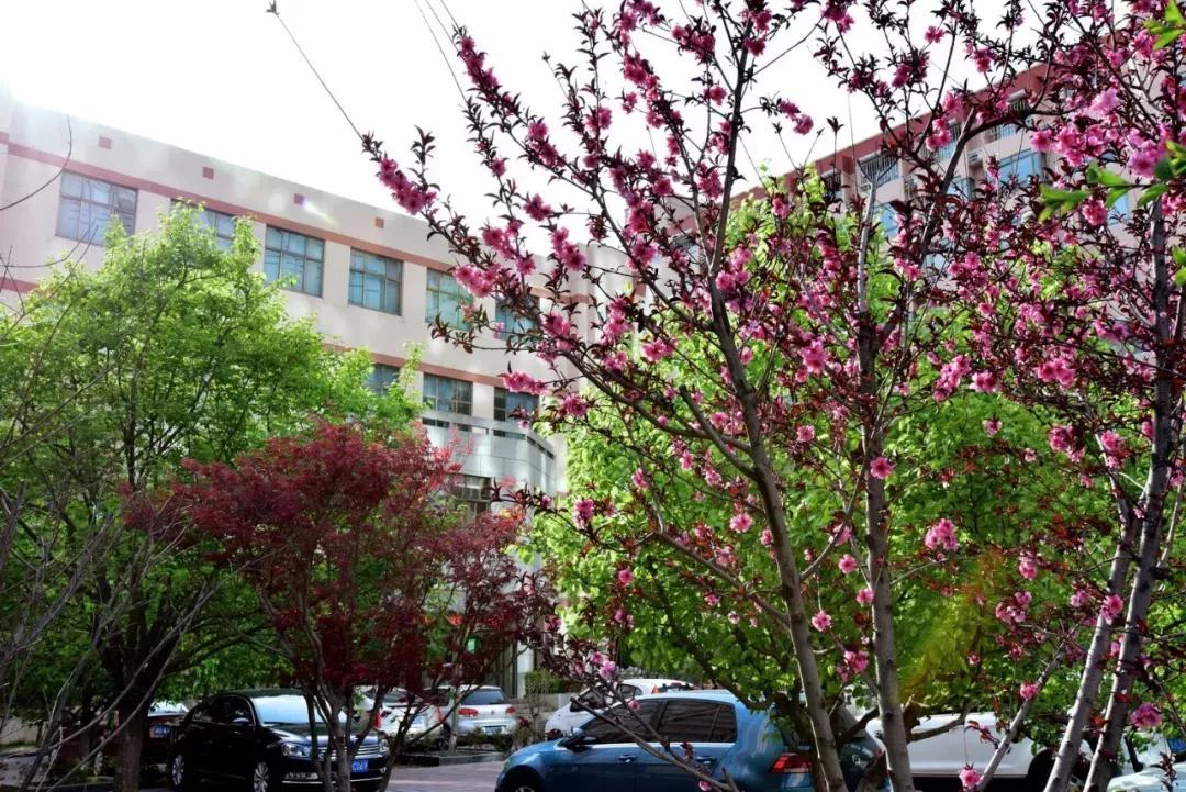 天津市普通高等院校,天津师范高等专科学校