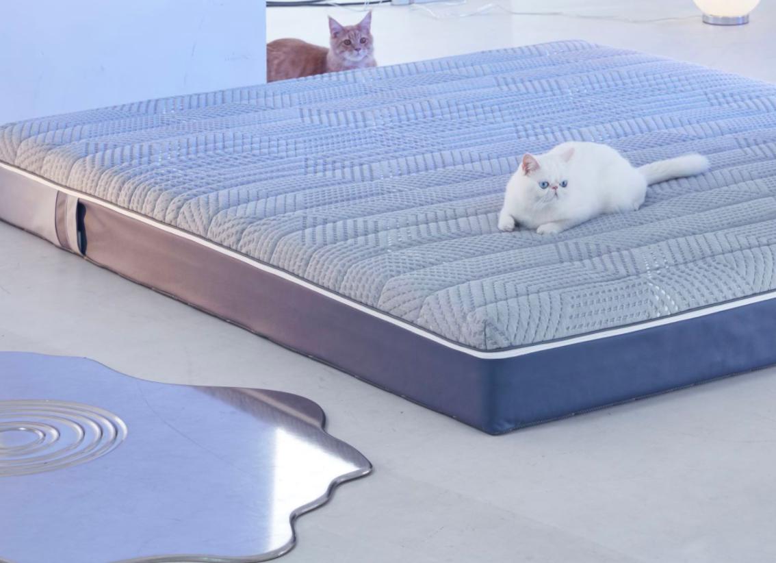 小米8H人工智能床垫,小米睡眠监测智能床