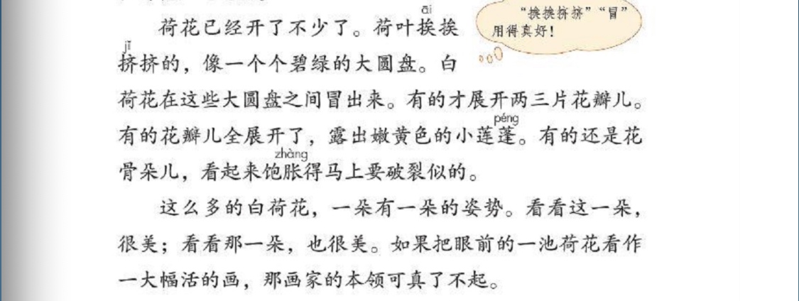 用思维导图学习语文三年级下册《荷花》，仿写《荷花》