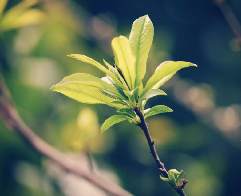 沁阳永威学校参观,沁阳永威学校2021开放日