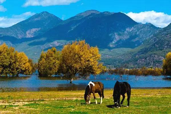 云南最美公路沿途景点,云南最美的十大高速公路