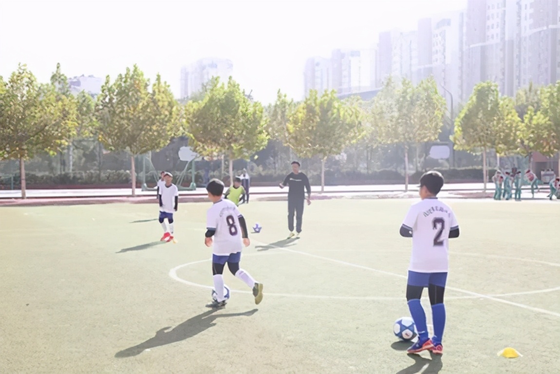 兰州市青少年校园足球特色学校,全国青少年校园足球特色学校奖牌