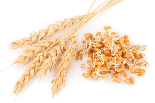 最有效的减肥泥灸膏,减肥药膏古法秘制