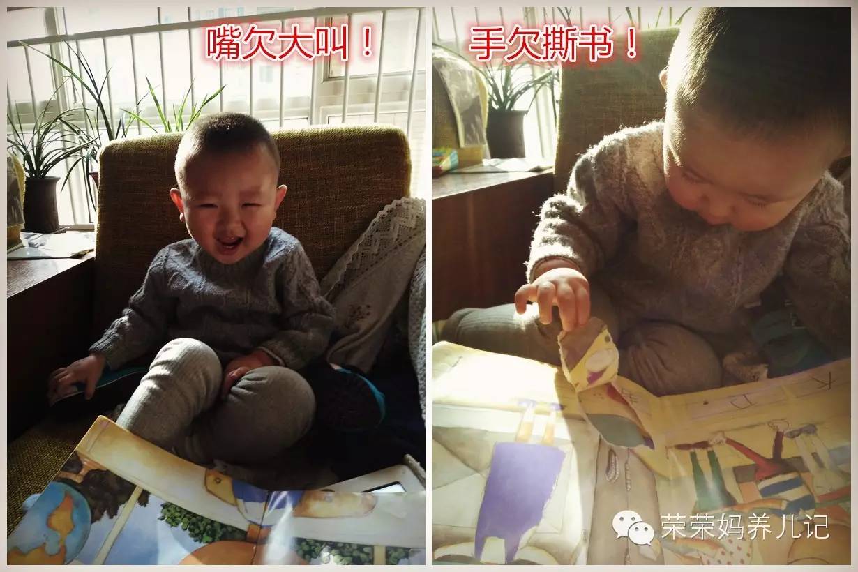 5-6岁儿童适合读什么绘本,5-6岁孩子读得最好的绘本