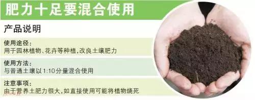 番禺这栋建筑表面上像“别墅”，实际作用却让你意想不到……