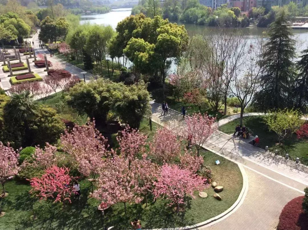 南京哪几个公园免费又好玩,南京莫愁湖公园免费