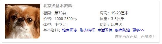 狗狗品种大全及介绍,狗狗品种大全带你走进狗狗的世界