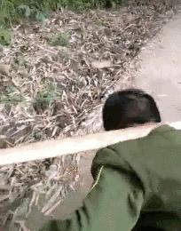 儿子不想上学妈妈说的话,儿子不愿上学妈妈抱着去