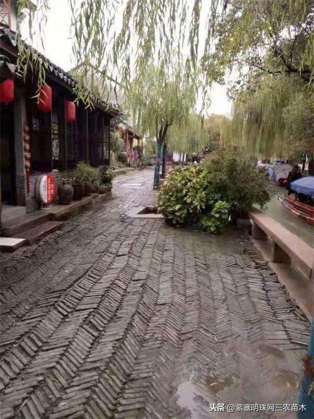 蓟州紫塞明珠农家院,紫塞明珠丰宁农家乐