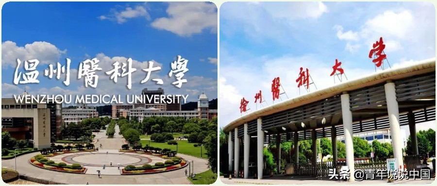 温医和安徽医科大学哪个好,徐医有什么专业