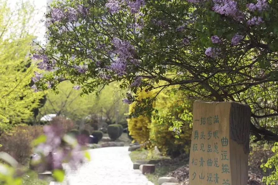 大连二十八中学地址,辽宁第一高级中学