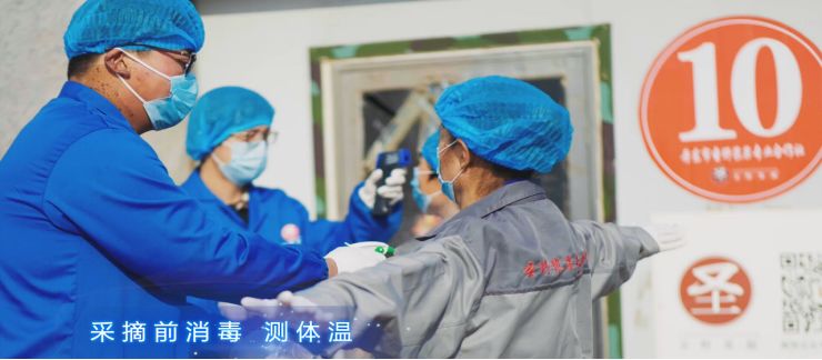 抗击疫情保供应,抗击疫情携手助农