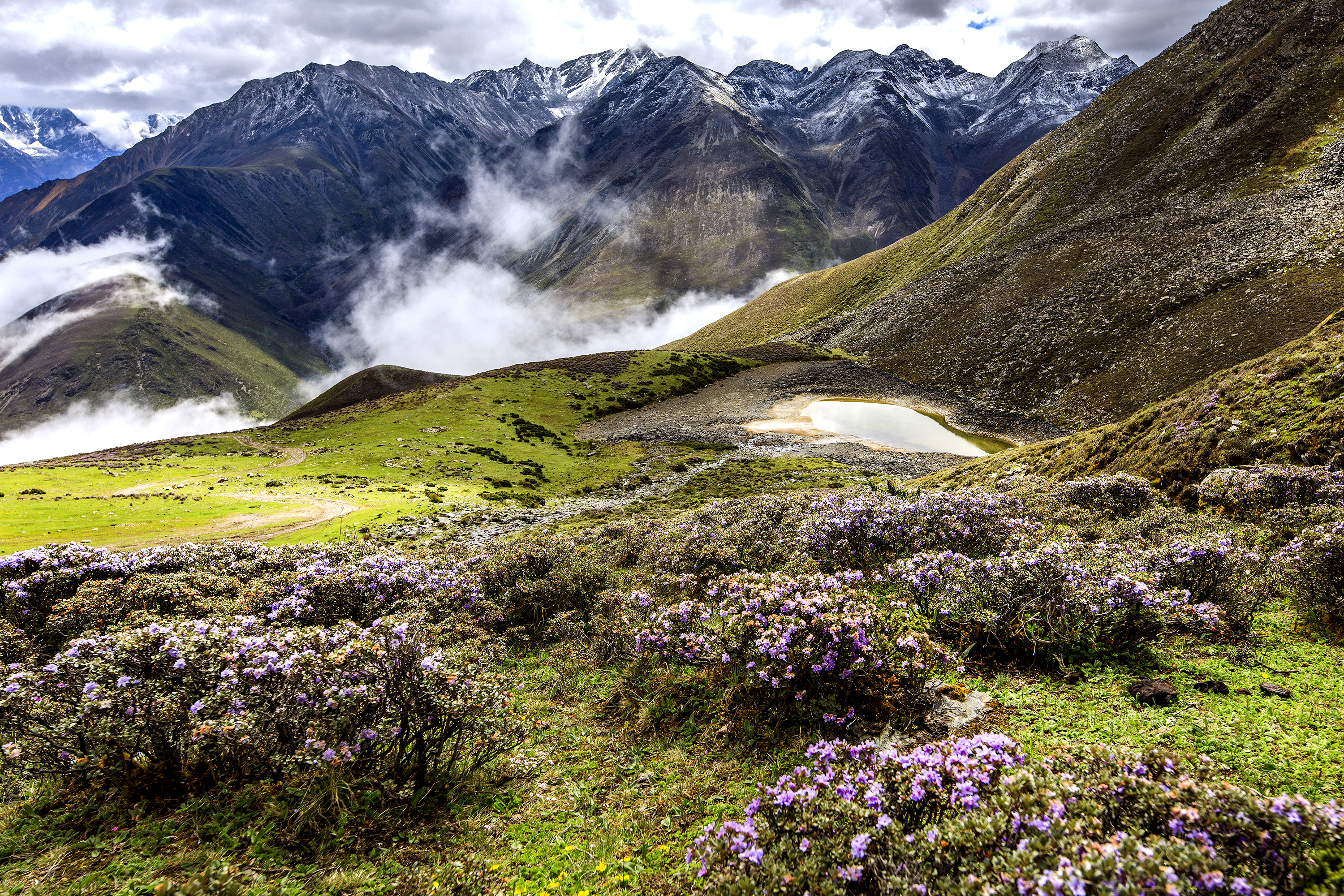 贡嘎雪山自由旅拍,里索海贡嘎雪山全景