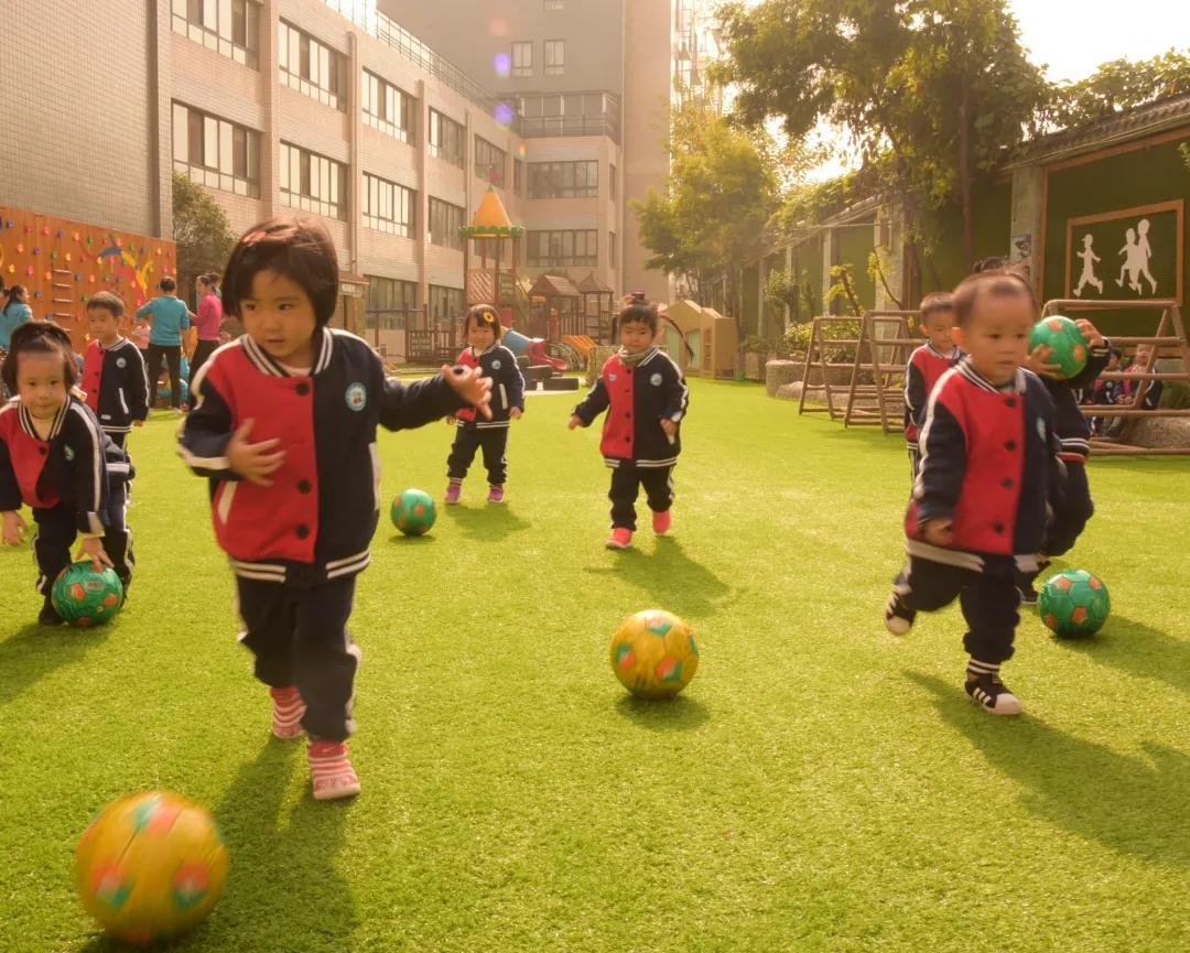 喜报幼儿园被评为省级一类园,获省优质幼儿园喜报