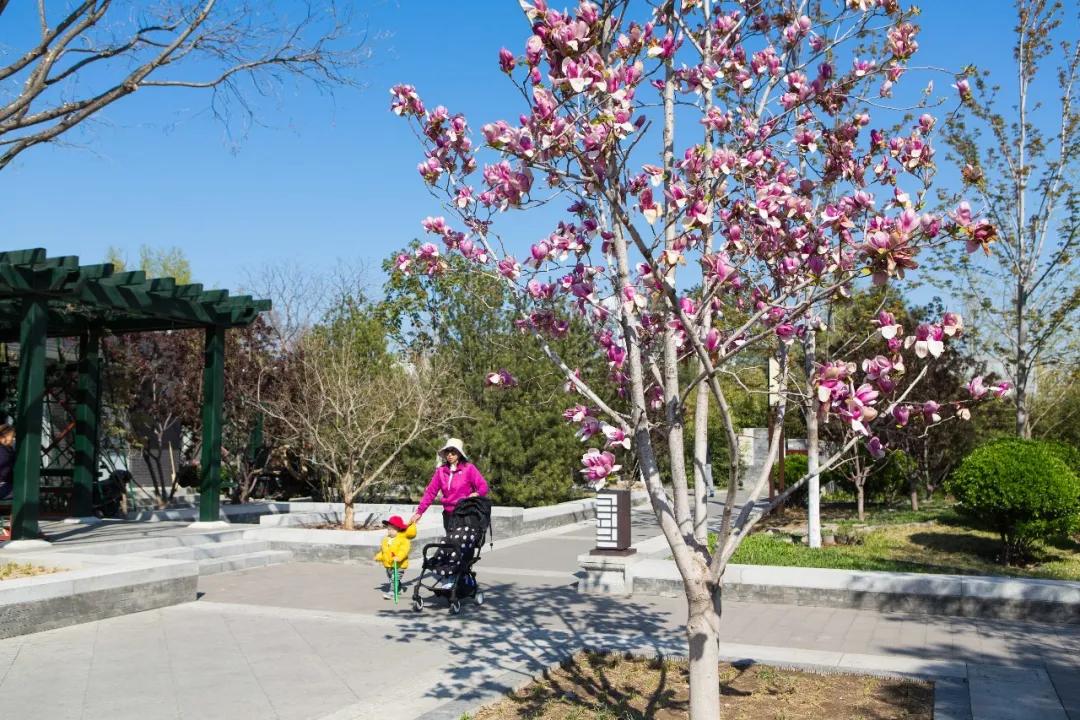 漫步西城|沿着千年时光的脉络,遇见广内~