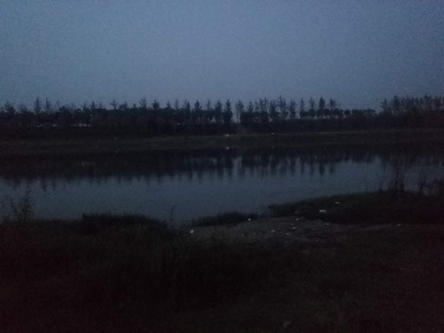 迷恋垂钓乐趣,迷恋清晨的感觉