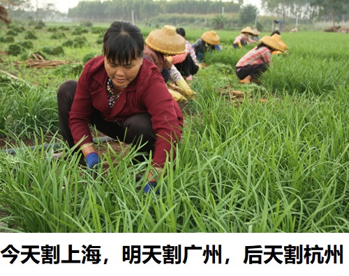 共享经济下为什么选择共享充电宝,全国共享经济盘点共享充电宝最稳