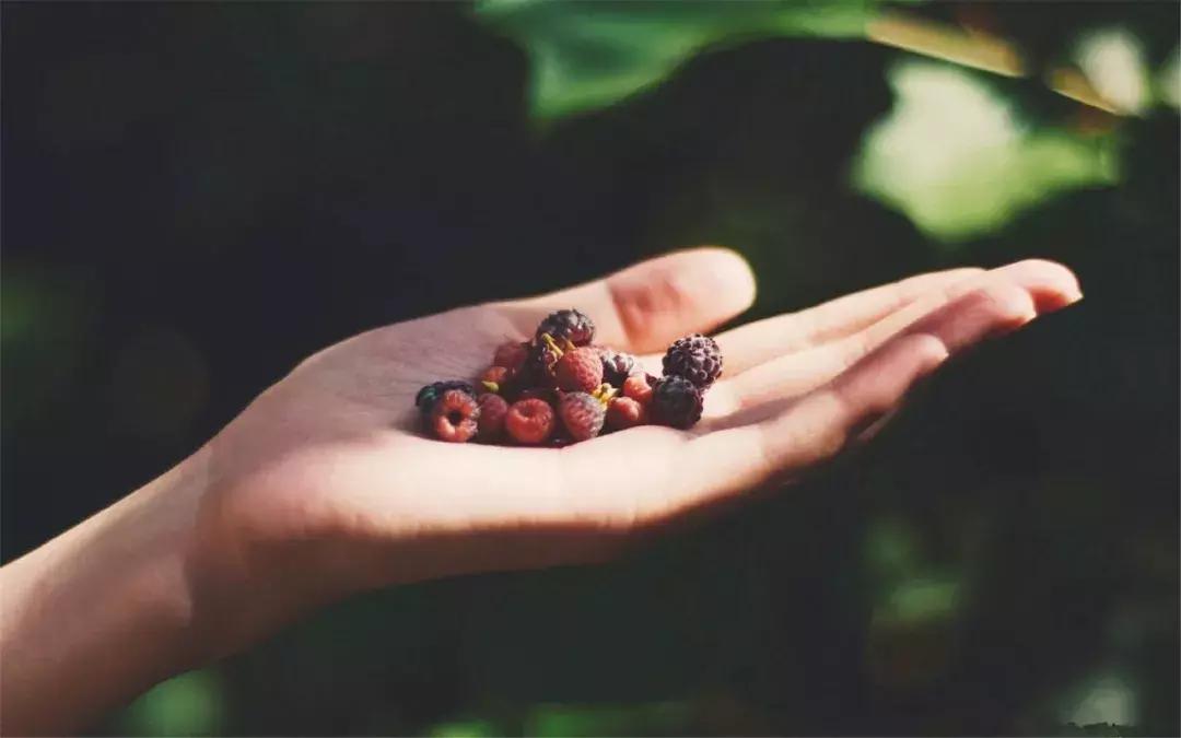 卡尔荣格说,卡尔荣格人生四个阶段