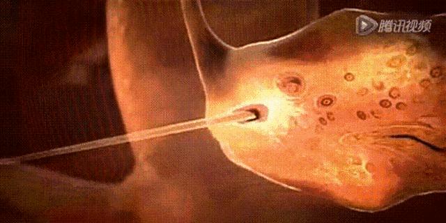 “25万出租子宫”短片被围观5.5亿次：你赚钱的样子，真丑！