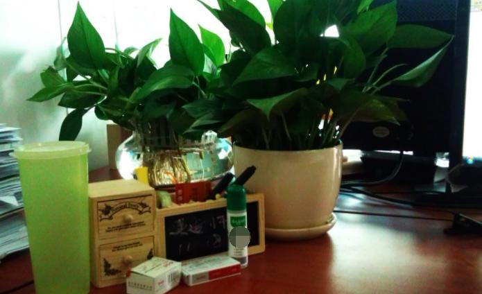 绿萝怎么养不会让它死,绿萝怎么补救最快最有效