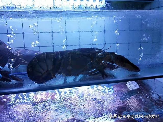 换一个角度享受生活乐趣,日照吴家台渔家乐推荐