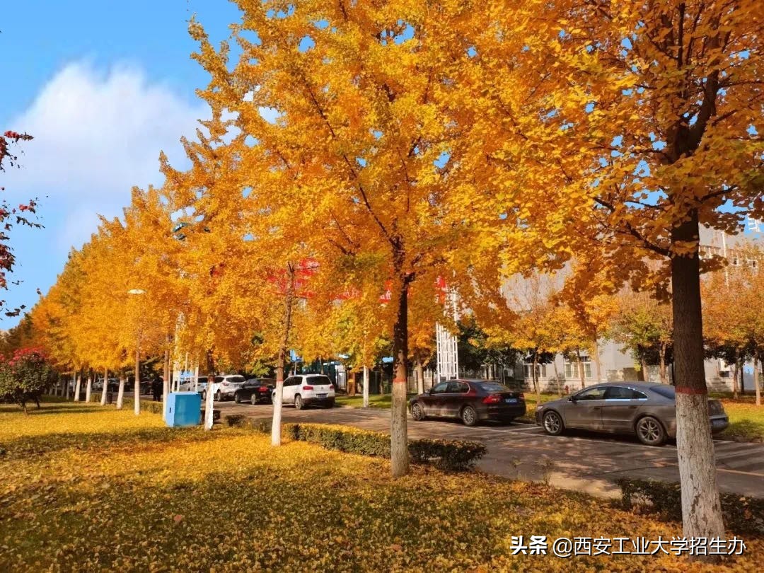 哈工大兵工七子,兵工七子进入兵工集团优势