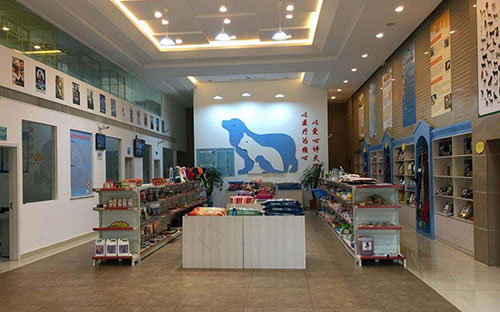 幼犬感冒不打喷嚏了,泰迪幼犬感冒的表现