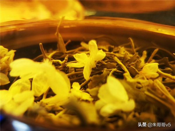 2022媒体花乡行,2023媒体花乡行