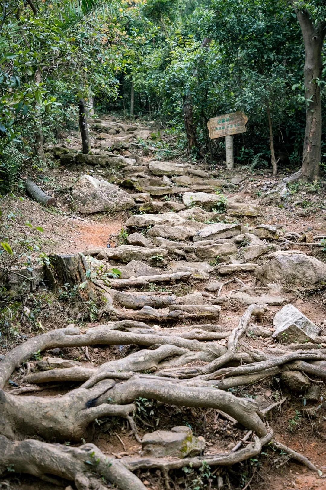 放假在深圳能去哪里玩,放假了可以去深圳的哪些地方玩