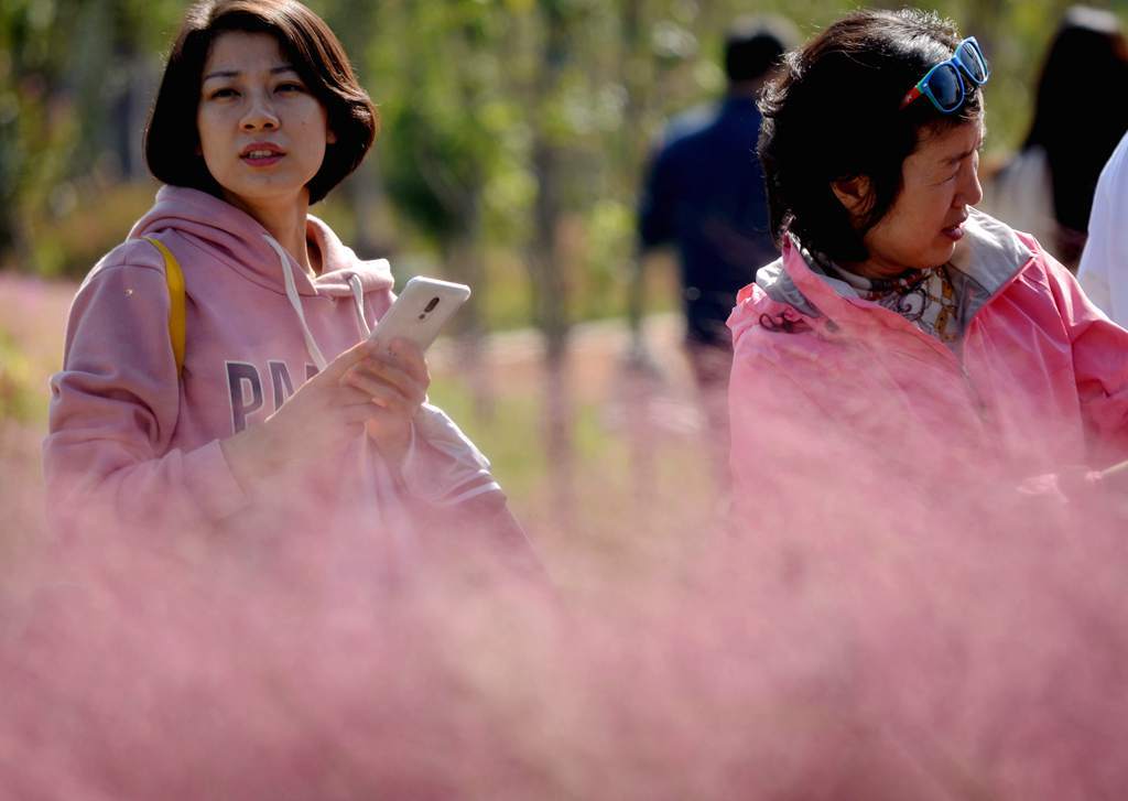 济源滨湖花园燃气,济源思礼镇滨河花园