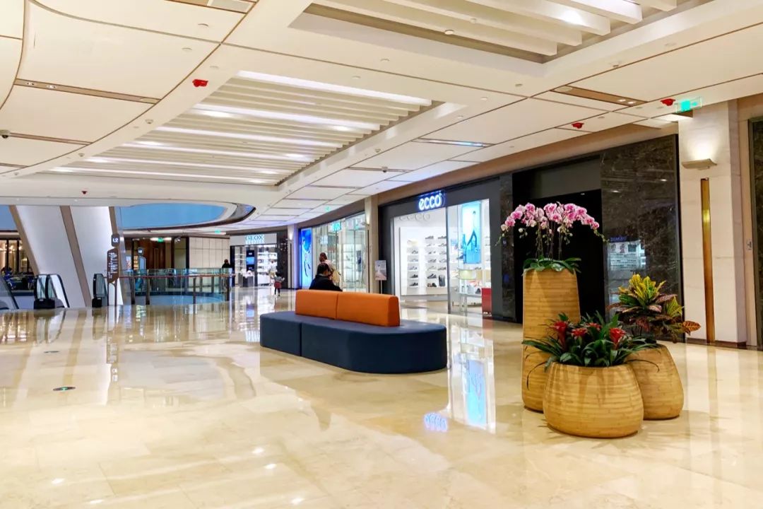 4月的日记,4月观察日记