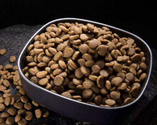 狗粮夏天可以放多长时间,狗粮储存不当感染细菌