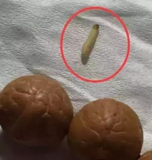 菩提手串有点生霉,菩提手串为什么会臭