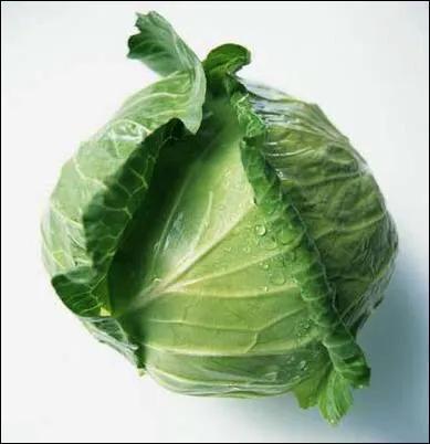 夏季高温病虫害应对措施,高温季用什么药防治蚜虫