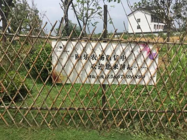 乌镇养老雅园,乌镇雅园养老社区