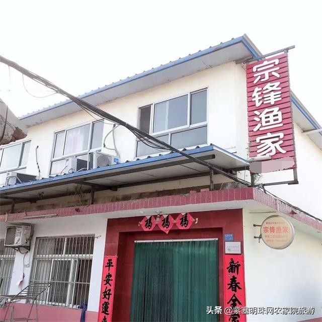 日照直播,日照索隆