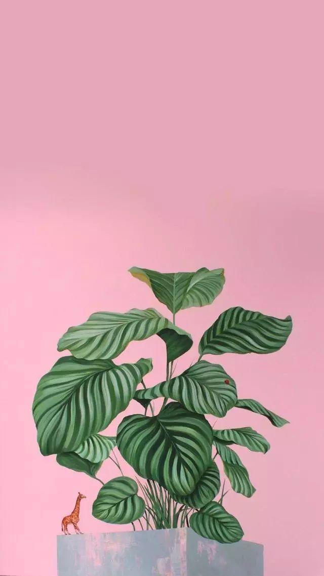 老虎壁纸超清4k手机壁纸iphone,iphone壁纸4k佛像壁纸