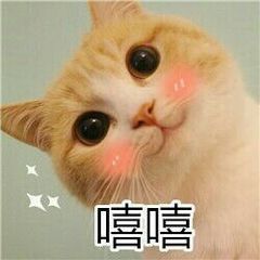 长脸方脸发型设计与脸型搭配,长脸方脸怎么化妆