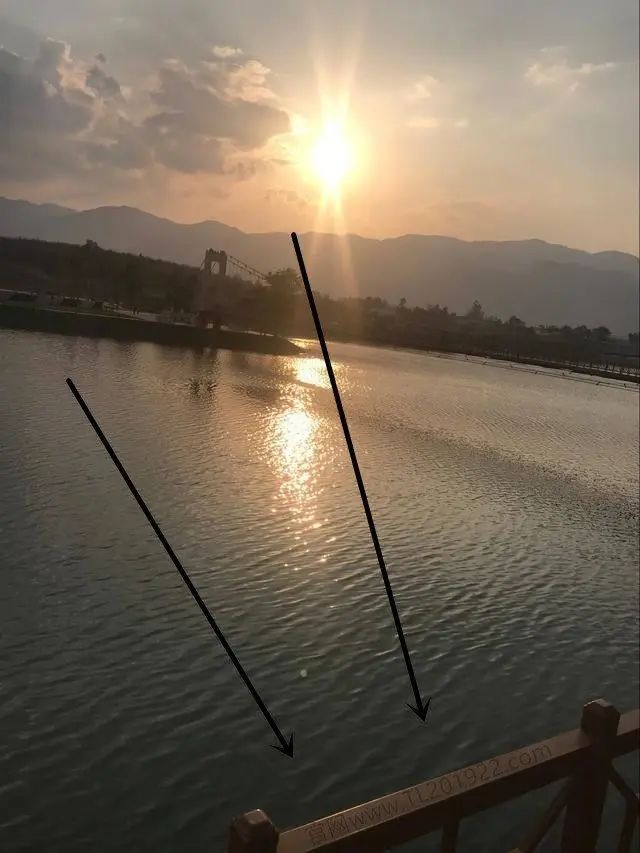 网赌输掉37万,告诉你网赌背后的秘密