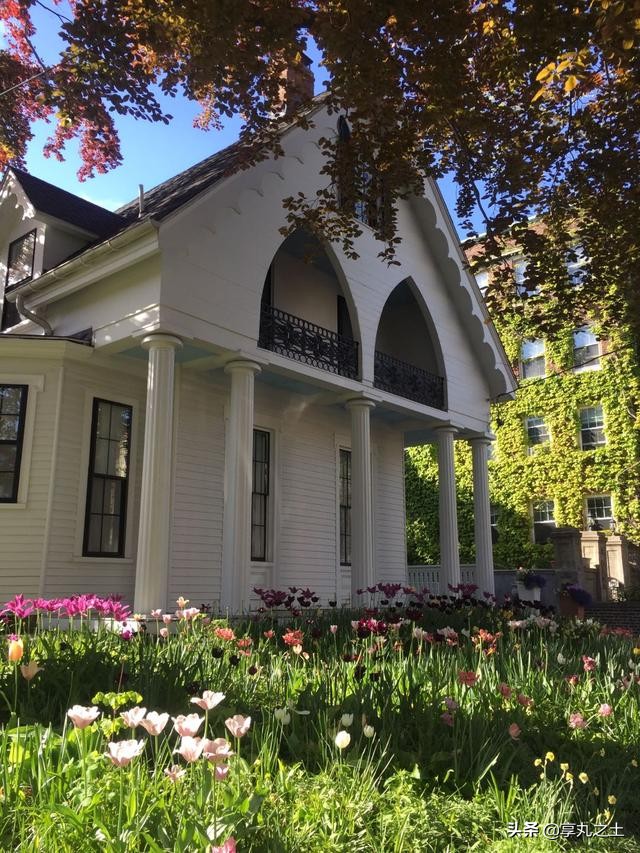 对老师不认可怎么办,对教育机构的老师不满意