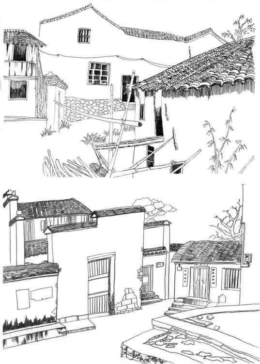 速写风景初学者入门教程,速写风景初学者入门教程植物