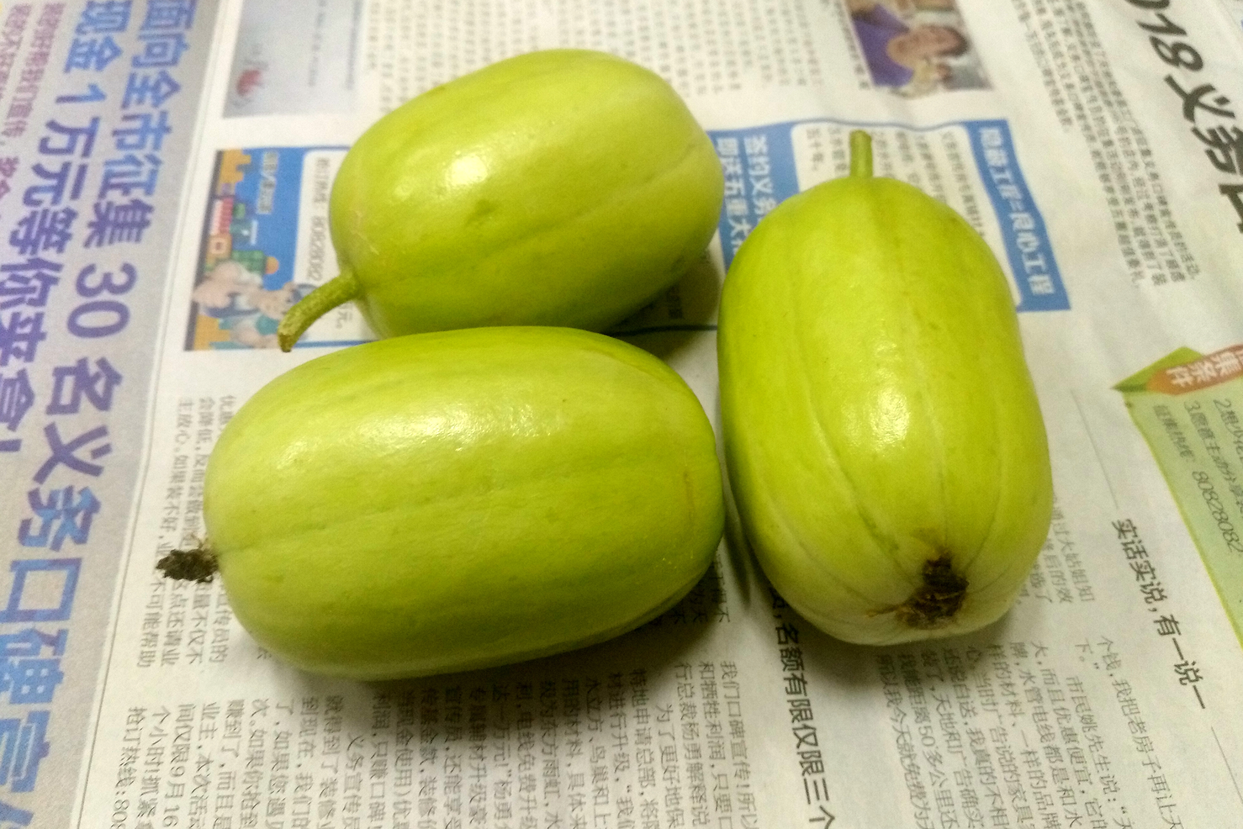 葫芦科蔬菜特点图,葫芦类蔬菜有哪些